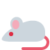 :animal (17):